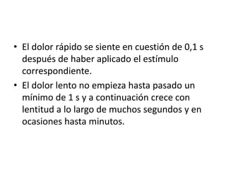 • El dolor rápido se siente en cuestión de 0,1 s
después de haber aplicado el estímulo
correspondiente.
• El dolor lento no empieza hasta pasado un
mínimo de 1 s y a continuación crece con
lentitud a lo largo de muchos segundos y en
ocasiones hasta minutos.
 