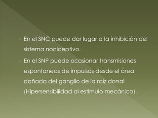 › En el SNC puede dar lugar a la inhibición del
sistema nociceptivo.
› En el SNP puede ocasionar transmisiones
espontaneas de impulsos desde el área
dañada del ganglio de la raíz dorsal
(Hipersensibilidad al estimulo mecánico).
 