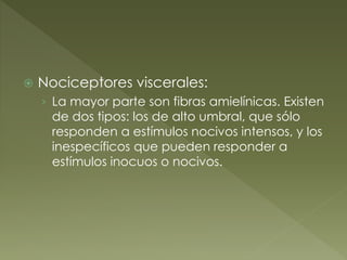  Nociceptores viscerales:
› La mayor parte son fibras amielínicas. Existen
de dos tipos: los de alto umbral, que sólo
responden a estímulos nocivos intensos, y los
inespecíficos que pueden responder a
estímulos inocuos o nocivos.
 