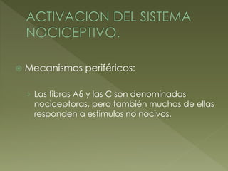  Mecanismos periféricos:
› Las fibras Aδ y las C son denominadas
nociceptoras, pero también muchas de ellas
responden a estímulos no nocivos.
 