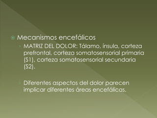 Mecanismos encefálicos
› MATRIZ DEL DOLOR: Tálamo, ínsula, corteza
prefrontal, corteza somatosensorial primaria
(S1), corteza somatosensorial secundaria
(S2).
› Diferentes aspectos del dolor parecen
implicar diferentes áreas encefálicas.
 