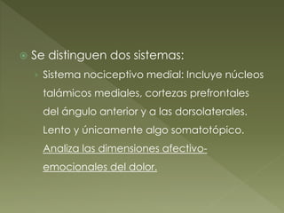  Se distinguen dos sistemas:
› Sistema nociceptivo medial: Incluye núcleos
talámicos mediales, cortezas prefrontales
del ángulo anterior y a las dorsolaterales.
Lento y únicamente algo somatotópico.
Analiza las dimensiones afectivo-
emocionales del dolor.
 