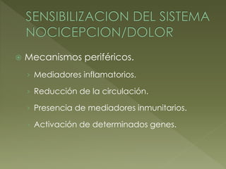 Mecanismos periféricos.
› Mediadores inflamatorios.
› Reducción de la circulación.
› Presencia de mediadores inmunitarios.
› Activación de determinados genes.
 