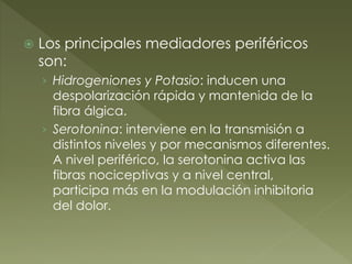  Los principales mediadores periféricos
son:
› Hidrogeniones y Potasio: inducen una
despolarización rápida y mantenida de la
fibra álgica.
› Serotonina: interviene en la transmisión a
distintos niveles y por mecanismos diferentes.
A nivel periférico, la serotonina activa las
fibras nociceptivas y a nivel central,
participa más en la modulación inhibitoria
del dolor.
 