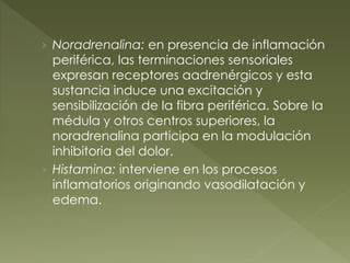 › Noradrenalina: en presencia de inflamación
periférica, las terminaciones sensoriales
expresan receptores αadrenérgicos y esta
sustancia induce una excitación y
sensibilización de la fibra periférica. Sobre la
médula y otros centros superiores, la
noradrenalina participa en la modulación
inhibitoria del dolor.
› Histamina: interviene en los procesos
inflamatorios originando vasodilatación y
edema.
 