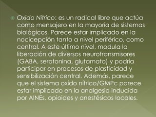  Oxido Nítrico: es un radical libre que actúa
como mensajero en la mayoría de sistemas
biológicos. Parece estar implicado en la
nocicepción tanto a nivel periférico, como
central. A este último nivel, modula la
liberación de diversos neurotransmisores
(GABA, serotonina, glutamato) y podría
participar en procesos de plasticidad y
sensibilización central. Además, parece
que el sistema oxído nítrico/GMPc parece
estar implicado en la analgesia inducida
por AINEs, opioides y anestésicos locales.
 