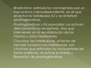 › Bradicinina: estimula los nociceptores por un
mecanismo calciodependiente, en el que
se activa la fosfolipasa A2 y se sintetizan
prostraglandinas.
› Prostraglandinas y Eicosanoides: no activan
directamente los receptores, sino que
intervienen en la sensibilización de los
mismos u otros mediadores.
› Citocinas: las interleukinas, el factor de
necrosis tumoral o los interferones, son
citocinas que estimulan los nociceptores de
forma indirecta, al activar la síntesis y
liberación de prostraglandinas.
 