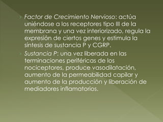 › Factor de Crecimiento Nervioso: actúa
uniéndose a los receptores tipo III de la
membrana y una vez interiorizado, regula la
expresión de ciertos genes y estimula la
síntesis de sustancia P y CGRP.
› Sustancia P: una vez liberada en las
terminaciones periféricas de los
nociceptores, produce vasodilatación,
aumento de la permeabilidad capilar y
aumento de la producción y liberación de
mediadores inflamatorios.
 
