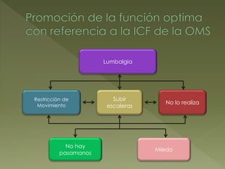 Restricción de
Movimiento
Subir
escaleras
No lo realiza
No hay
pasamanos
Miedo
Lumbalgia
 