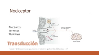 Nociceptor
Mecánicos
Térmicos
Químicos
Świeboda, P. (2013). Assessment of pain: types, mechanism and treatment. Ann Agric Environ Med. 2013; Special Issue 1: 2–7
 