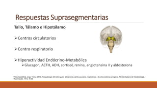 Respuestas Suprasegmentarias
Tallo, Tálamo e Hipotálamo
Centros circulatorios
Centro respiratorio
Hiperactividad Endócrino-Metabólica
Glucagon, ACTH, ADH, cortisol, renina, angiotensina II y aldosterona
Pérez-Castañeda Jorge, Tania. (2012). Fisiopatología del dolor agudo: alteraciones cardiovasculares, respiratorias y de otros sistemas y órganos. Revista Cubana de Anestesiología y
Reanimación, 11(1), 19-26.
 
