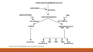 Katzung, B. (2012) Farmacología Básica y Clínica. 12va Edición. Ed. Mc Graw Hill
 