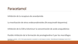 Paracetamol
Inhibición de la recaptura de anandamida
La movilización de otros endocanabinoides (N-araquinodil-dopamina)
Inhibición de la COX al disminuir la concentración de acido araquidónico
Posible inhibición de la formación de prostaglandina E por los macrófagos
Covarrubias, A.; Gonzalez, J. (2013). El dolor agudo perioperatorio y el paracetamol: una visión basada en la evidencia . Revista Mexicana de Anestesiología: Volumen 36, No. 1,
enero-marzo 2013
 