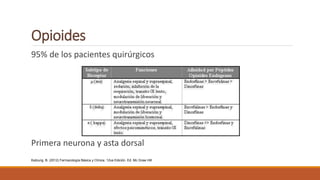 Opioides
95% de los pacientes quirúrgicos
Primera neurona y asta dorsal
Katzung, B. (2012) Farmacología Básica y Clínica. 12va Edición. Ed. Mc Graw Hill
 