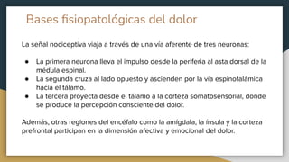 Dolor y otras caracteristicas del mismo eb | PDF