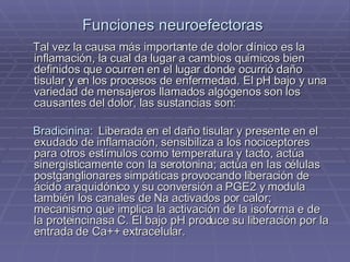 Funciones neuroefectoras   Tal vez la causa más importante de dolor clínico es la inflamación, la cual da lugar a cambios químicos bien definidos que ocurren en el lugar donde ocurrió daño tisular y en los procesos de enfermedad. El pH bajo y una variedad de mensajeros llamados algógenos son los causantes del dolor, las sustancias son:   Bradicinina:   Liberada en el daño tisular y presente en el exudado de inflamación, sensibiliza a los nociceptores para otros estímulos como temperatura y tacto, actúa sinergisticamente con la serotonina; actúa en las células postganglionares simpáticas provocando liberación de ácido araquidónico y su conversión a PGE2 y modula también los canales de Na activados por calor; mecanismo que implica la activación de la isoforma e de la proteincinasa C. El bajo pH produce su liberación por la entrada de Ca++ extracelular. 