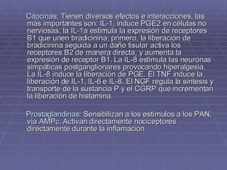 Citocinas:   Tienen diversos efectos e interacciones, las más importantes son: IL-1, induce PGE2 en células no nerviosas, la IL-1a estimula la expresión de receptores B1 que unen bradicinina; primero, la liberación de bradicinina seguida a un daño tisular activa los receptores B2 de manera directa, y aumenta la expresión de receptor B1. La IL-8 estimula las neuronas simpáticas postganglionares provocando hiperalgesia. La IL-8 induce la liberación de PGE. El TNF induce la liberación de IL-1, IL-6 e IL-8. El NGF regula la síntesis y transporte de la sustancia P y el CGRP que incrementan la liberación de histamina.  Prostaglandinas:   Sensibilizan a los estímulos a los PAN, vía AMPc. Activan directamente nociceptores directamente durante la inflamación. 