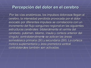 Percepción del dolor en el cerebro Por las vías anatómicas, los impulsos dolorosos llegan al cerebro, la intensidad percibida provocada por el dolor evocado por diferentes impulsos se correlaciona con un incremento del flujo sanguíneo regional en las siguientes estructuras cerebrales: bilateralmente el vermis del cerebelo, putámen, tálamo, ínsula y corteza anterior del cíngulo; contralateralmente se activan las áreas somestésica primaria (SI) y secundaria (SII). La corteza motora suplementaria y área premotora ventral contralaterales también son activadas.  