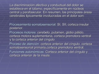 La discriminación afectiva y conductual del dolor se establece en el tálamo, específicamente en núcleos central y parafasicular. En resumen, las principales áreas cerebrales típicamente involucradas en el dolor son:  Procesamiento somatosensorial:  SI, SII, corteza insular posterior.  Procesos motores:  cerebelo, putamen, globo pálido, corteza motora suplementaria, corteza premotora ventral y la corteza anterior del cíngulo. Proceso de atención:  corteza anterior del cíngulo, corteza somatosensorial primaria,corteza premotora ventral. Funciones autonómicas:  Corteza anterior del cíngulo y corteza anterior de la ínsula.  