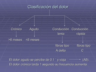 Clasificación del dolor Crónico  Agudo  Conducción  Conducción lenta  rápida >6 meses   <6 meses   fibras tipo  fibras tipo  A delta  C El dolor agudo se percibe de 0.1 ´ y viaja  (Aδ).   El dolor crónico tarda 1 segundo su frecuencia aumenta. 