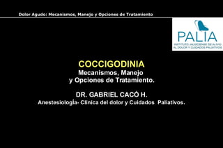 COCCIGODINIA Mecanismos, Manejo  y Opciones de Tratamiento. DR. GABRIEL CACÓ H. AnestesiologÍa- Clinica del dolor y Cuidados  Paliativos . 