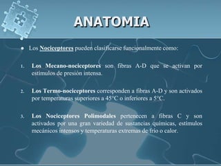 ANATOMIA
    Los Nociceptores pueden clasificarse funcionalmente como:

1.    Los Mecano-nociceptores son fibras A-D que se activan por
      estímulos de presión intensa.

2.    Los Termo-nociceptores corresponden a fibras A-D y son activados
      por temperaturas superiores a 45°C o inferiores a 5°C.

3.    Los Nociceptores Polimodales pertenecen a fibras C y son
      activados por una gran variedad de sustancias químicas, estímulos
      mecánicos intensos y temperaturas extremas de frío o calor.
 