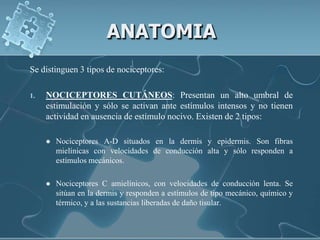 ANATOMIA
Se distinguen 3 tipos de nociceptores:

1.   NOCICEPTORES CUTÁNEOS: Presentan un alto umbral de
     estimulación y sólo se activan ante estímulos intensos y no tienen
     actividad en ausencia de estímulo nocivo. Existen de 2 tipos:

        Nociceptores A-D situados en la dermis y epidermis. Son fibras
         mielínicas con velocidades de conducción alta y sólo responden a
         estímulos mecánicos.

        Nociceptores C amielínicos, con velocidades de conducción lenta. Se
         sitúan en la dermis y responden a estímulos de tipo mecánico, químico y
         térmico, y a las sustancias liberadas de daño tisular.
 