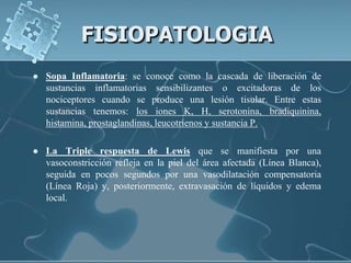 FISIOPATOLOGIA
   Sopa Inflamatoria: se conoce como la cascada de liberación de
    sustancias inflamatorias sensibilizantes o excitadoras de los
    nociceptores cuando se produce una lesión tisular. Entre estas
    sustancias tenemos: los iones K, H, serotonina, bradiquinina,
    histamina, prostaglandinas, leucotrienos y sustancia P.

   La Triple respuesta de Lewis que se manifiesta por una
    vasoconstricción refleja en la piel del área afectada (Línea Blanca),
    seguida en pocos segundos por una vasodilatación compensatoria
    (Línea Roja) y, posteriormente, extravasación de líquidos y edema
    local.
 