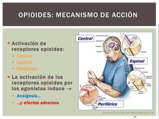 OPIOIDES: MECANISMO DE ACCIÓN
Central
Periférico
Espinal
 Activación de
receptores opioides:
 Central
 Espinal
 Periférico
 La activación de los
receptores opioides por
los agonistas induce 
 Analgesia…
 …y efectos adversos
Clemens K E et al. Expert Opin. Pharmacother 2010; 11(2)
10
 