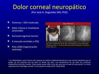 Dolor corneal neuropático
(Por José A. Gegúndez MD, PhD)
Síntomas = SOS moderadoSíntomas = SOS moderado
Dolor intenso e invalidanteDolor intenso e invalidante
(avanzado)(avanzado)
Secreción lagrimal normalSecreción lagrimal normal
A menudo remitidos a PSQA menudo remitidos a PSQ
Post-LASIK (regeneraciónPost-LASIK (regeneración
anómala)anómala)
““Los oftalmólogos nunca hemos sido capaces de explicar satisfactoriamente por qué muchos pacientes que seLos oftalmólogos nunca hemos sido capaces de explicar satisfactoriamente por qué muchos pacientes que se
quejan de los síntomas del ojo seco no tienen ojo seco. Las sensaciones de ojo seco son síntomasquejan de los síntomas del ojo seco no tienen ojo seco. Las sensaciones de ojo seco son síntomas
inespecíficos del dolor corneal. ¿Qué puede causar dolor como ojo seco que no sean los ojos secos? La únicainespecíficos del dolor corneal. ¿Qué puede causar dolor como ojo seco que no sean los ojos secos? La única
respuesta es la hiperalgia corneal. La neuropatía lo explica todo” (Rosenthal).respuesta es la hiperalgia corneal. La neuropatía lo explica todo” (Rosenthal).
 