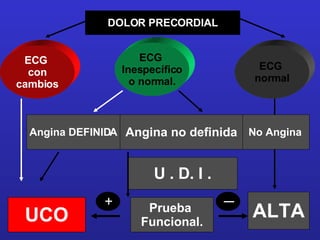 DOLOR PRECORDIAL ECG  con cambios ECG  normal ECG  Inespecífico o normal. UCO No Angina ALTA Angina no definida U . D. I . Angina DEFINIDA Prueba  Funcional. _ + 