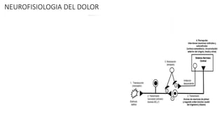 Timulo DOLOR- VULVODINIA trastornos del dolor.pptx