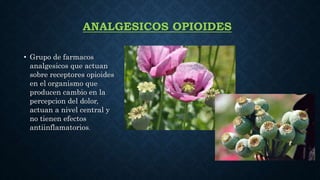 ANALGESICOS OPIOIDES
• Grupo de farmacos
analgesicos que actuan
sobre receptores opioides
en el organismo que
producen cambio en la
percepcion del dolor,
actuan a nivel central y
no tienen efectos
antiinflamatorios.
 