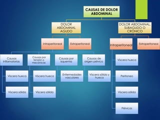 CAUSAS DE DOLOR 
ABDOMINAL 
DOLOR 
ABDOMINAL 
AGUDO 
Intraperitoneal 
Causas 
inflamatorias 
Víscera hueca 
Víscera sólida 
Causas por 
tensión o 
mecánicas 
Víscera hueca 
Víscera sólida 
Causas por 
isquemia 
Enfermedades 
vasculares 
Causas de 
origen pélvico 
Víscera sólida y 
hueca 
Extraperitoneal 
DOLOR ABDOMINAL, 
SUBAGUDO O 
CRÓNICO 
Intraperitoneal 
Víscera hueca 
Peritoneo 
Víscera sólida 
Pélvicas 
Extraperitoneal 
 