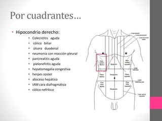 Por cuadrantes…
• Hipocondrio derecho:
• Colecistitis aguda
• cólico biliar
• úlcera duodenal
• neumonía con reacción pleural
• pancreatitis aguda
• pielonefritis aguda
• hepatomegalia congestiva
• herpes zoster
• absceso hepático
• IAM cara diafragmática
• cólico nefrítico
 