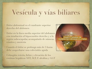 Vesícula y vías biliares
• Dolor abdominal en el cuadrante superior
derecho del abdomen
• Dolor en la línea media superior del abdomen
con irradiación al hipocondrio derecho y a la
región subescapular, acompañado de náuseas,
vómitos y anorexia
• Cuando el dolor se prolonga más de 5 horas
debe sospecharse una colecistitis aguda
• Colangitis: icteria, ﬁebre y elevación de los
enzimas hepáticos AST, ALT, F. alcalina y GGT
 