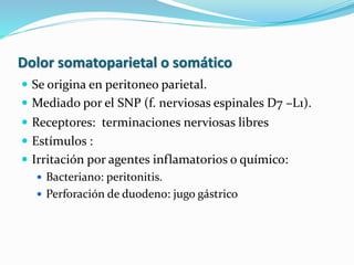 Dolor somatoparietal o somático
 Se origina en peritoneo parietal.
 Mediado por el SNP (f. nerviosas espinales D7 –L1).
 Receptores: terminaciones nerviosas libres
 Estímulos :
 Irritación por agentes inflamatorios o químico:
 Bacteriano: peritonitis.
 Perforación de duodeno: jugo gástrico
 