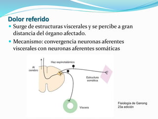 Dolor referido
 Surge de estructuras viscerales y se percibe a gran
distancia del órgano afectado.
 Mecanismo: convergencia neuronas aferentes
viscerales con neuronas aferentes somáticas
Fisiología de Ganong
23a edición
 
