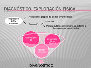 DIAGNÓSTICO- EXPLORACIÓN FÍSICA
                 Alteraciones propias de ciertas enfermedades
 Inspección
    piel y      ...