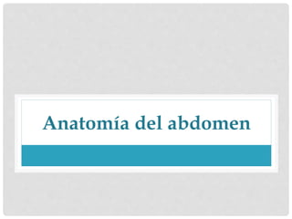 Anatomía del abdomen
 