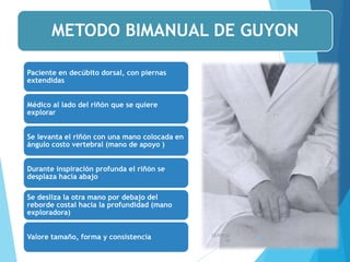 METODO BIMANUAL DE GUYON
Paciente en decúbito dorsal, con piernas
extendidas
Médico al lado del riñón que se quiere
explorar
Se levanta el riñón con una mano colocada en
ángulo costo vertebral (mano de apoyo )
Durante inspiración profunda el riñón se
desplaza hacia abajo
Se desliza la otra mano por debajo del
reborde costal hacia la profundidad (mano
exploradora)
Valore tamaño, forma y consistencia 13/05/20
16
56
 