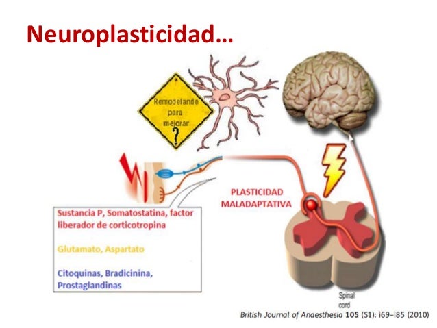Imagen relacionada