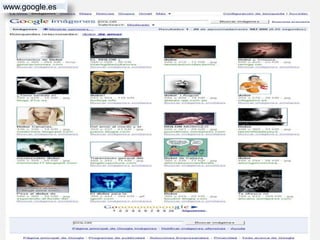 www.google.es
 