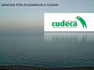 GRACIAS POR AYUDARNOS A CUIDAR
 