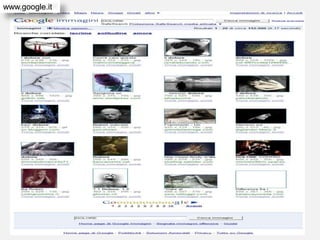 www.google.it
 
