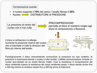 La pressione discale è variabile e dipende dalla posizione vertebrale: 
sdraiato pressione discale 25 psi 
in piedi senz...