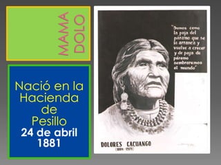 MamaDoloNació en laHacienda dePesillo24 de abril 1881                                                                                                                                                              