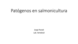 Patógenos en salmonicultura
Jorge Parodi
Lab. Vertebral
 
