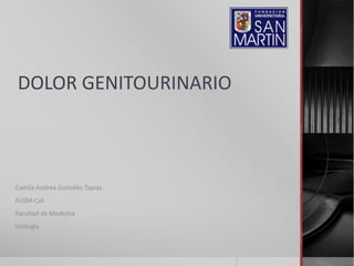 DOLOR GENITOURINARIO 
Camila Andrea González Tapias 
FUSM-Cali 
Facultad de Medicina 
Urología 
 