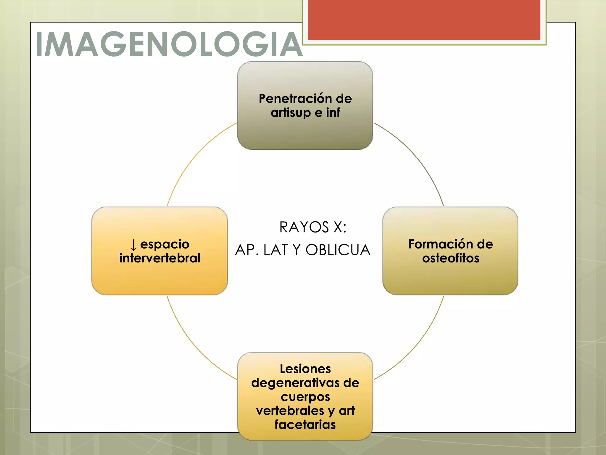 IMAGENOLOGIA
                       Penetración de
                         artisup e inf




                          RAYOS X:
     ↓ espacio                             Formación de
   intervertebral
                    AP. LAT Y OBLICUA        osteofitos




                           Lesiones
                      degenerativas de
                           cuerpos
                       vertebrales y art
                          facetarias
 